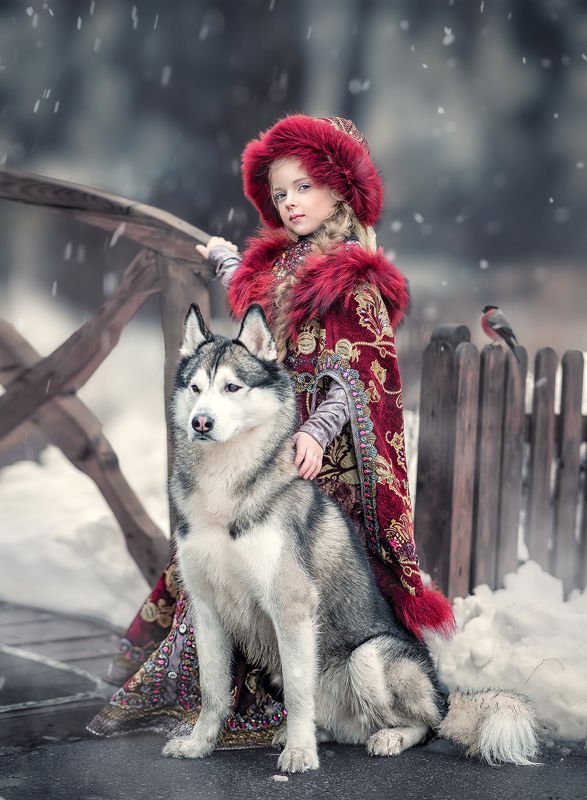 княжна, княгиня, принцесса, царевна, хаски, собака, друг, зима, зимняя сказка Княжна: зимняя сказкаphoto preview