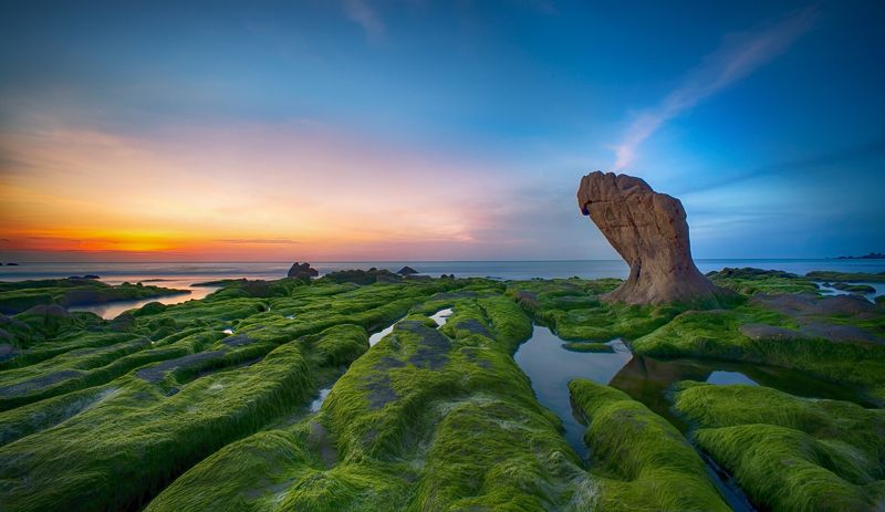 #Co Thach#Binh Thua#Viet Nam#Moss season Co Thach moss seasonphoto preview