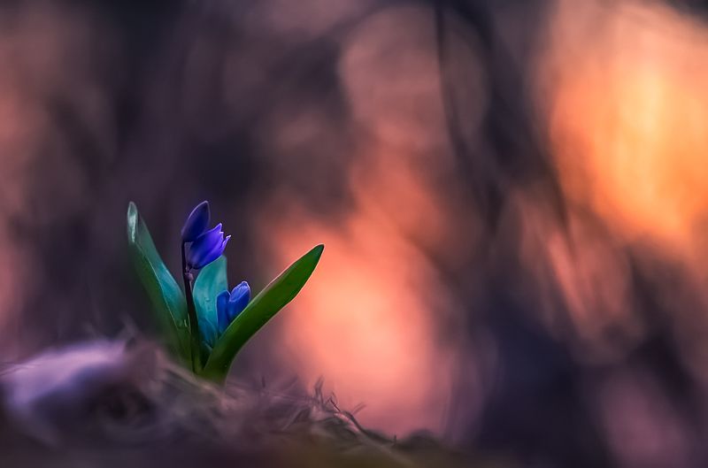 Ураааа пришла веснаphoto preview