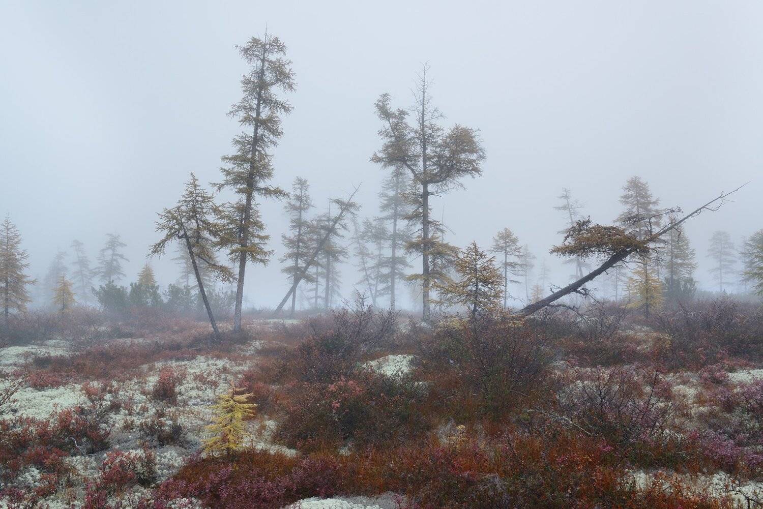 , Максим Евдокимов (phototourtravel.ru)