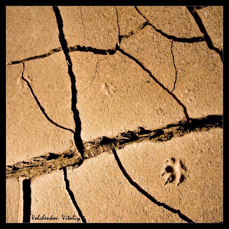 фото Следphoto preview