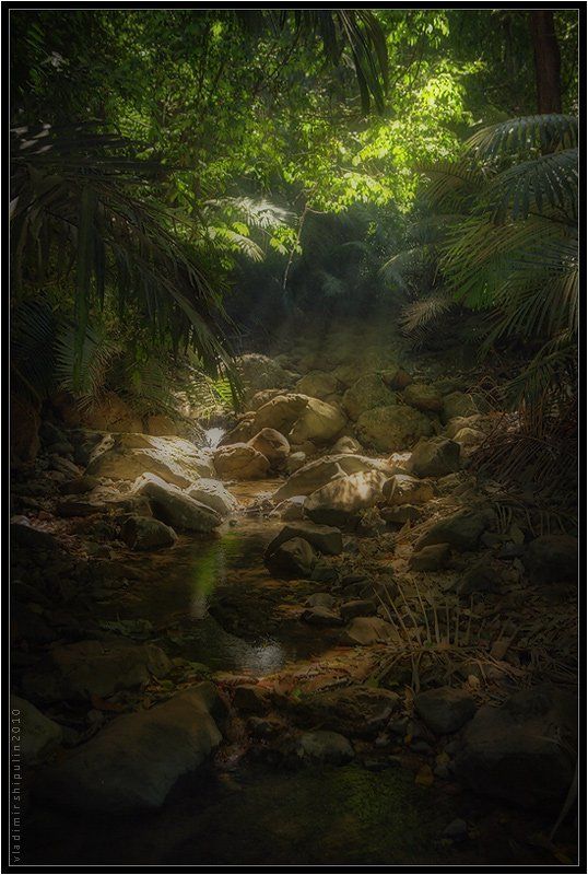 джунгли,лес,гоа,индия,пейзаж,хдр,hdri,владимир,шипулин Джунгли...photo preview