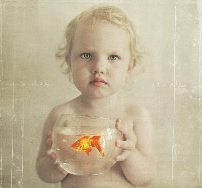 make Ur wish, babyphoto preview