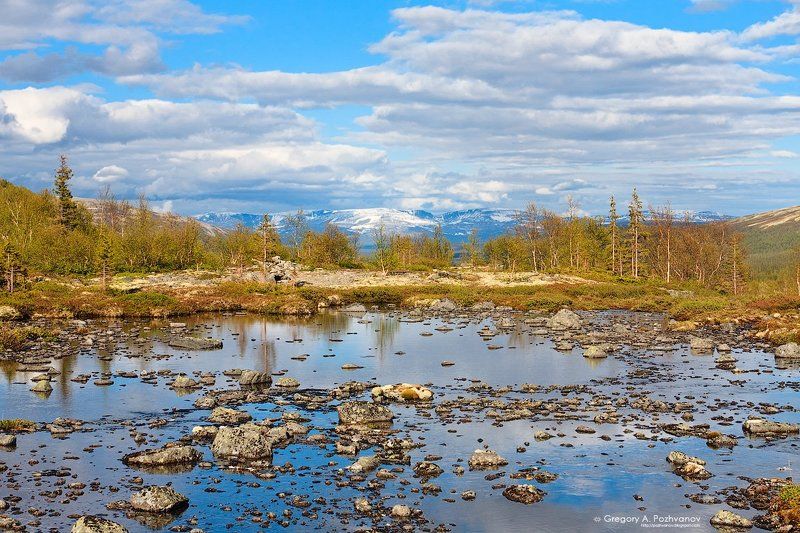 горы, хибины, осень, заполярье, озеро, долина, тульйок, лес, умбозеро, ловозеры, тундра, елки Весна, Кольскийphoto preview
