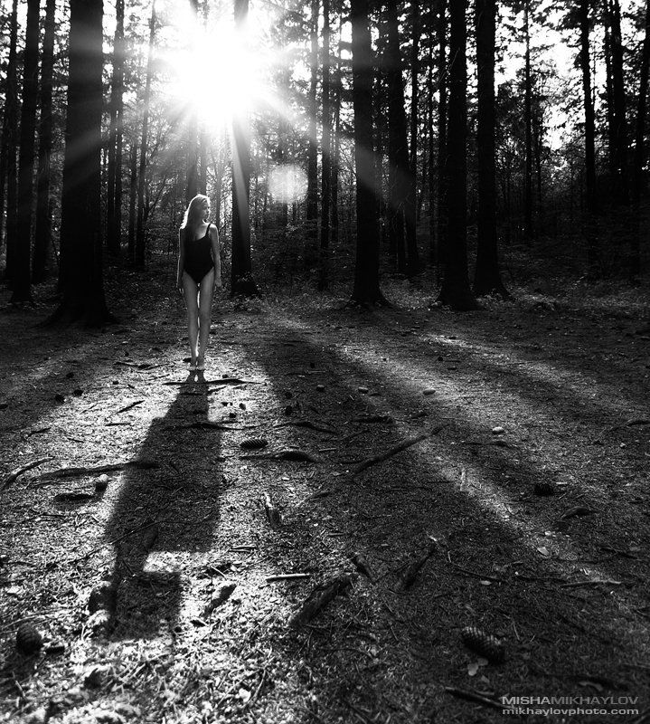 Visitor 2photo preview