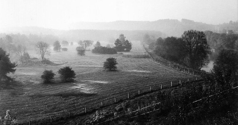 плёнка, монохром, пейзаж По дороге домойphoto preview