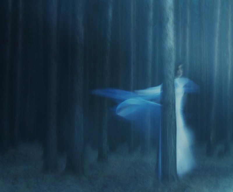 Эльфийский лесphoto preview