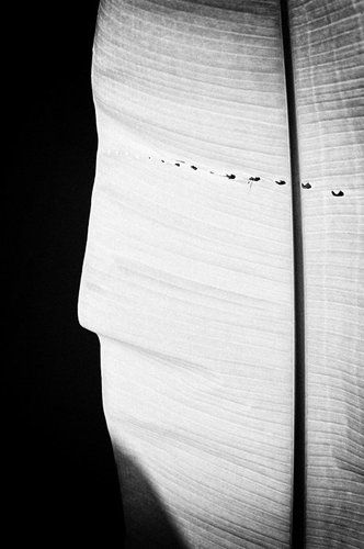 The Way