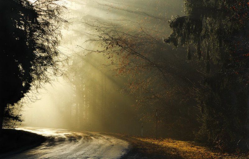 Поворотphoto preview