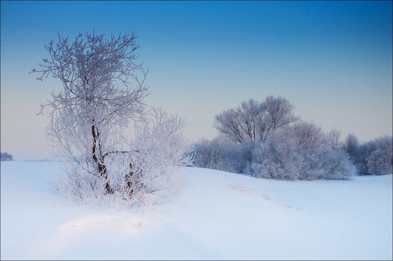 Холодное обаяние мартовского утраphoto preview