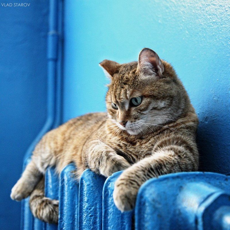 опять Ника.photo preview