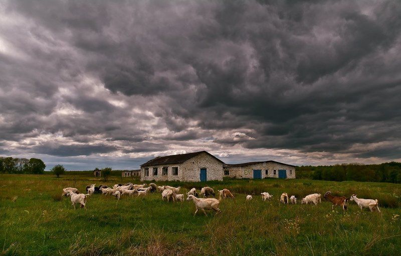 Вот так и живёмphoto preview