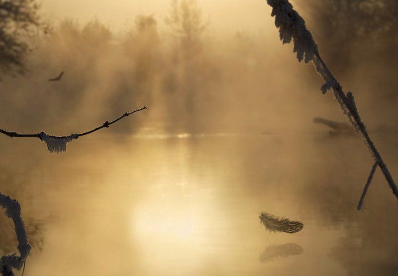 Я за своей потерей не вернусь...photo preview