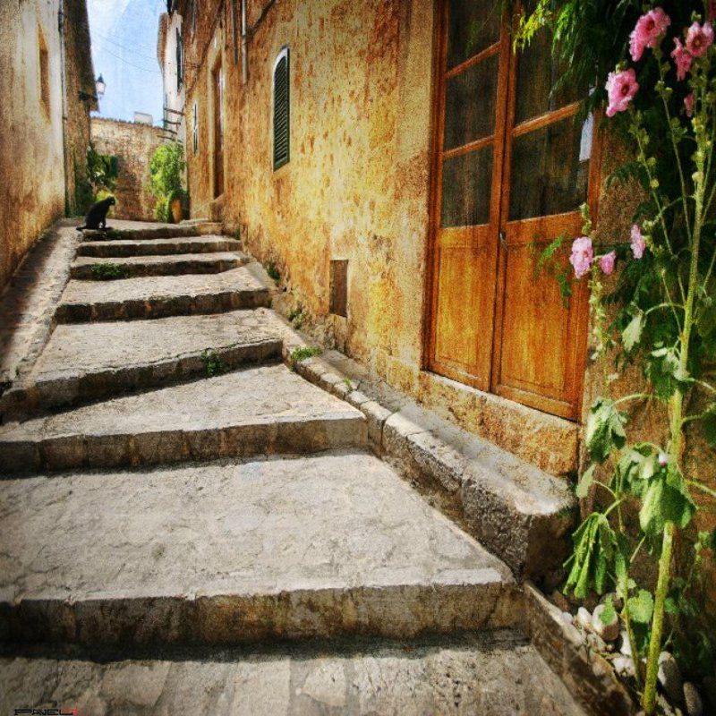 alone .photo preview