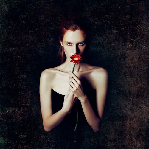 The Red Flower