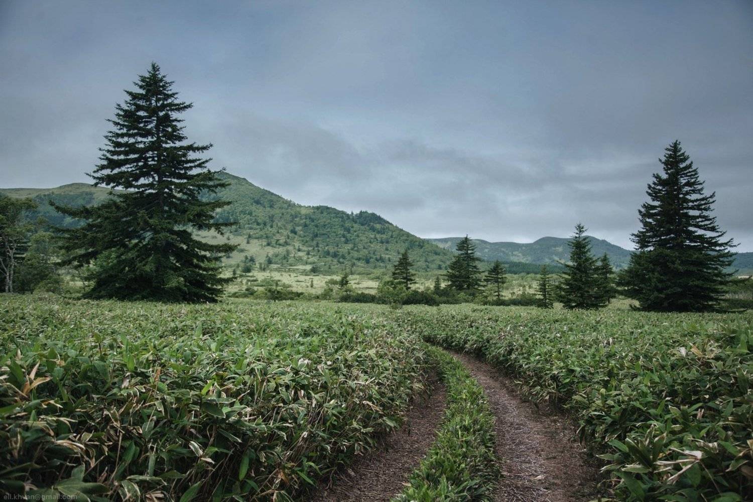 Кунашир, Курилы, Россия, Дальний Восток, Элина Хван