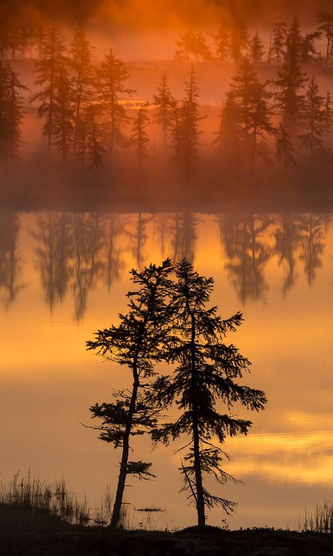 рассвет, туман, природа На рассветеphoto preview