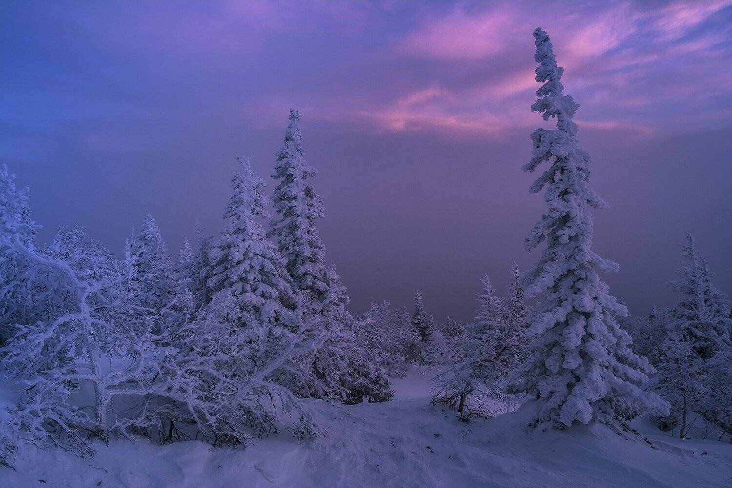 , Андрей Шарапов