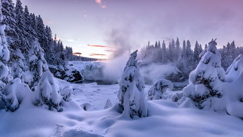 Colors of winter