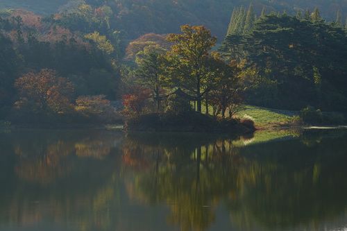 Morning light