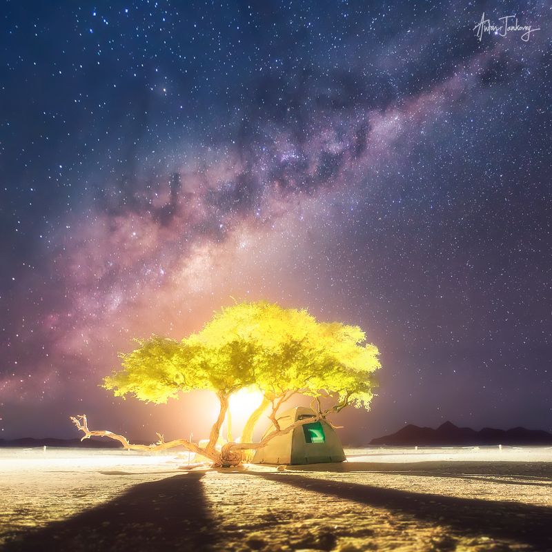 tent, tree, moon, moonrise, universe, milky way, light, desert, namibia, namib, camp, shadows, stars, night, nightscape, silhouette,  sossusvlei,  палатка, дерево, луна, рассвет, закат, вселенная, млечный путь, намибия, намиб, соссусфлей, лагерь, тени, зв Краткая история о Вселенной, Луне и маленькой палатке под деревом где-то на планете Земля (Намибия,  Соссусфлей)photo preview