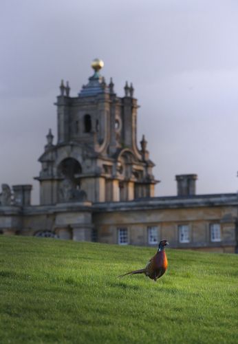 English Country Side