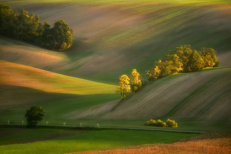 Moravian evening