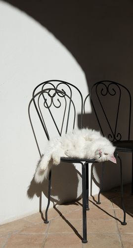 Sunny Day
