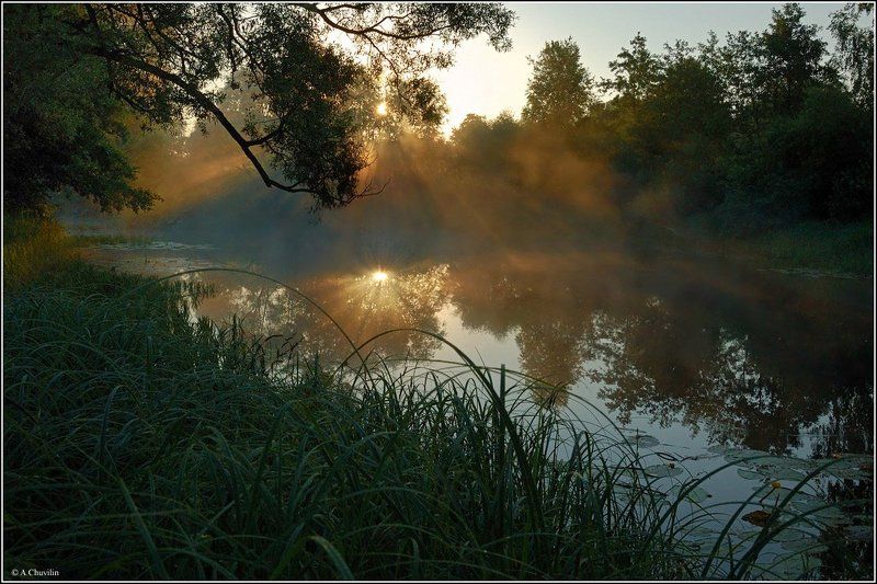 старица,река,жиздра,восход,июль Восход над старицейphoto preview