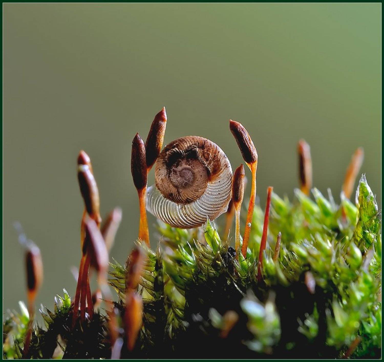 , Евгений Кирилкин.