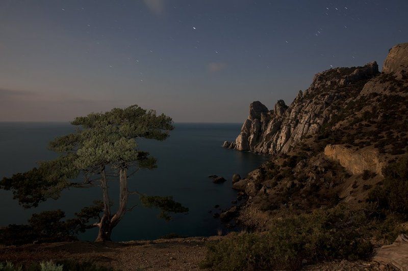крым, море, мыс, вода, камни, берег, волны, скалы, небо, облака, пейзаж, природа, украина, звезды, ночь, деревья, В лунном свете.photo preview