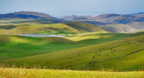 пейзаж с лошадками