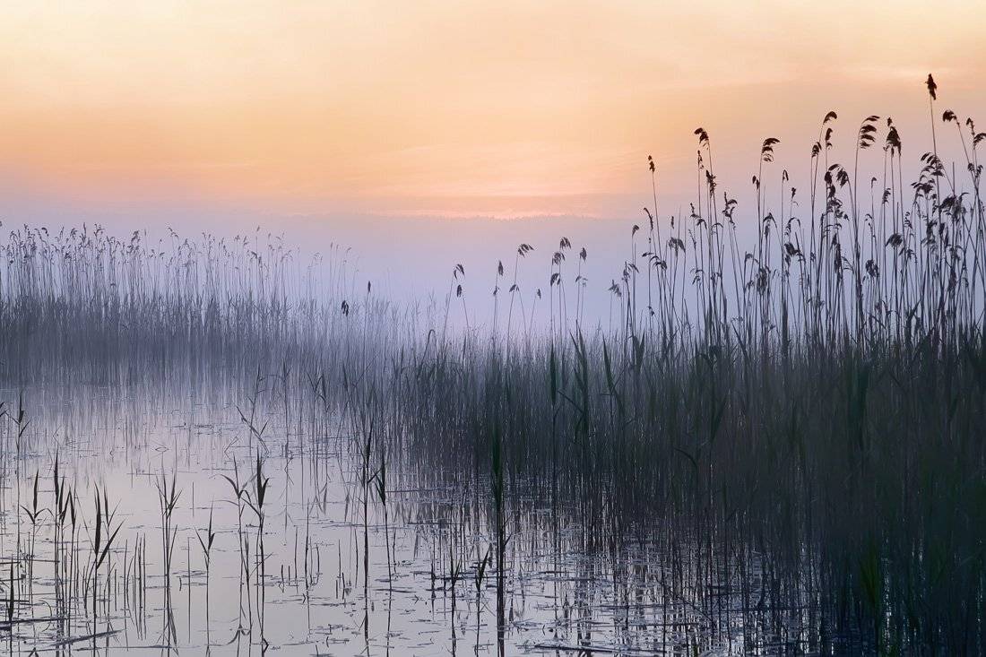 Тишина. Автор: Rimantas Bikulcius , Rimantas Bikulcius