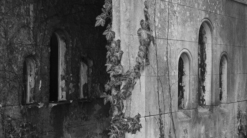 Trip to Bengaluru/India and visit to central graveyard in Vienna/Austriaphoto preview