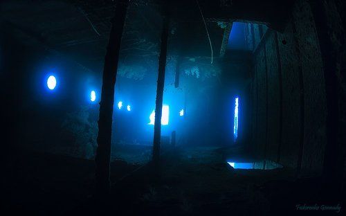 Портфолио