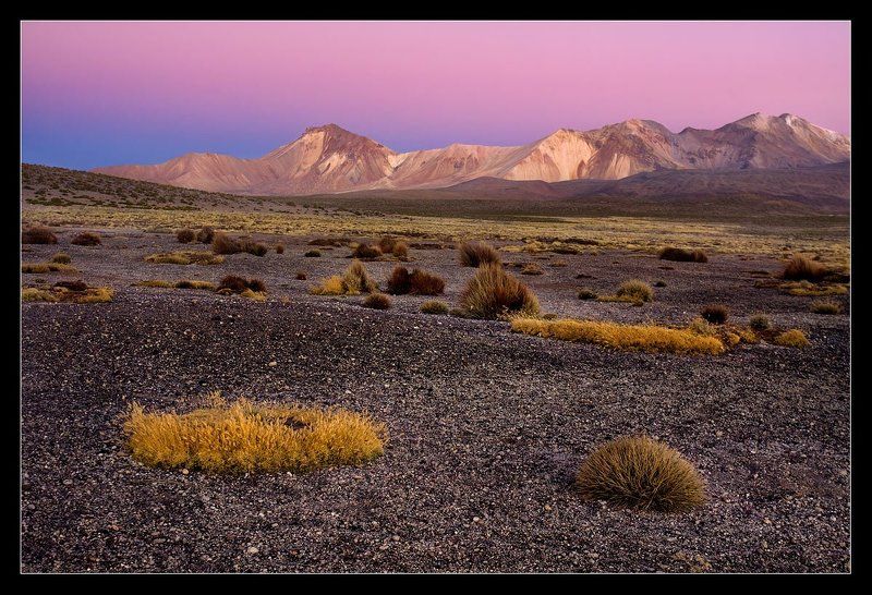 чили, альтиплано, горы, заря Ландшафт высокогорья....photo preview