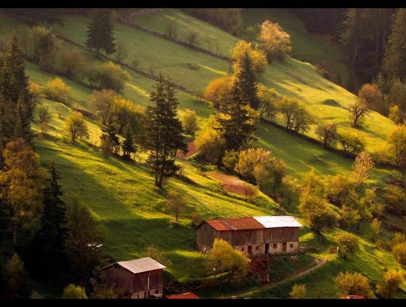 Rodopa mountain, Bulgariaphoto preview