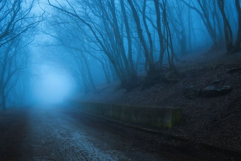 россия, ставропольский край, кавказ, железноводск, кмв, пейзаж, природа, лес, туман, облако, мох, камни, скалы Путь на Машукphoto preview