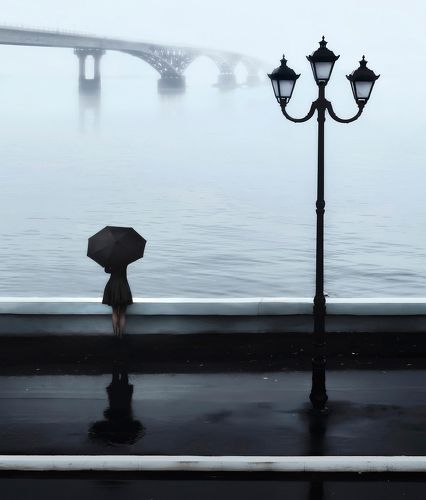 Птица на подоконнике
