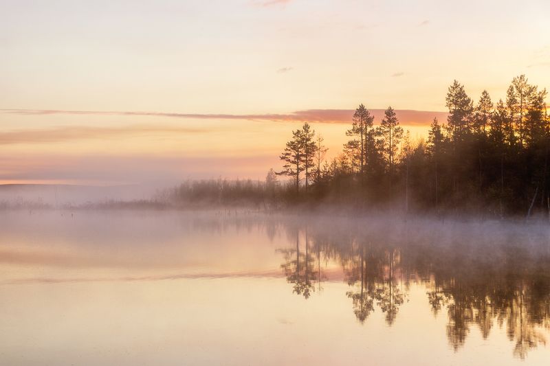 полярный,день,озеро,лес,отражение, Полярный деньphoto preview