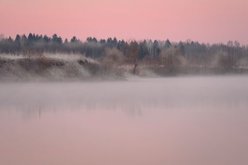 Розовое утро