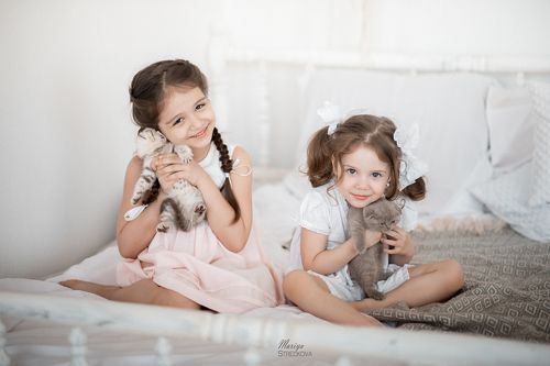 Божечки - кошечки!
