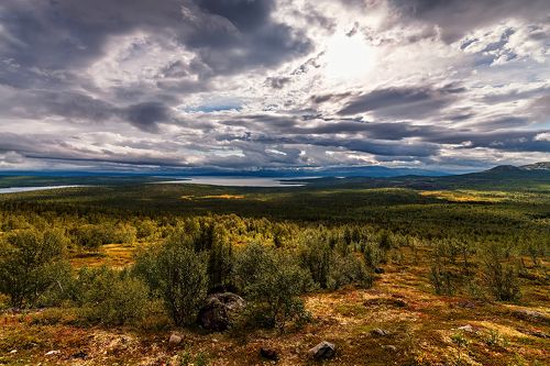Северные просторы