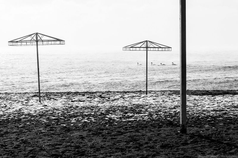 море, пейзаж, ч/б, монохром, минимализм, seascape, sea, minimalism, monochrome, blackandwhite, swans, птицы, лебеди ***photo preview