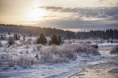 р. Койва, Пермский край