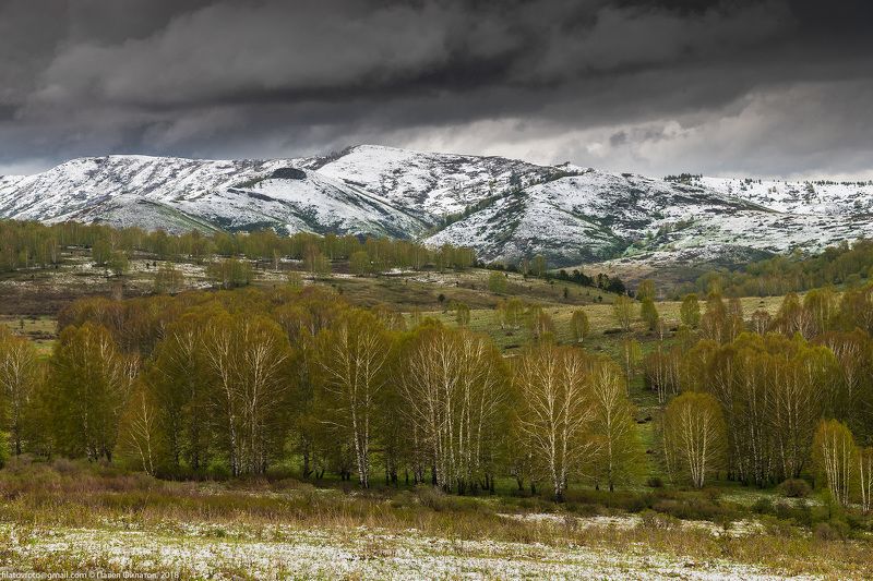 алтай, сибирь, май, мариниха, алтайский край, тигирекский заповедник Под свинцовым небом маяphoto preview