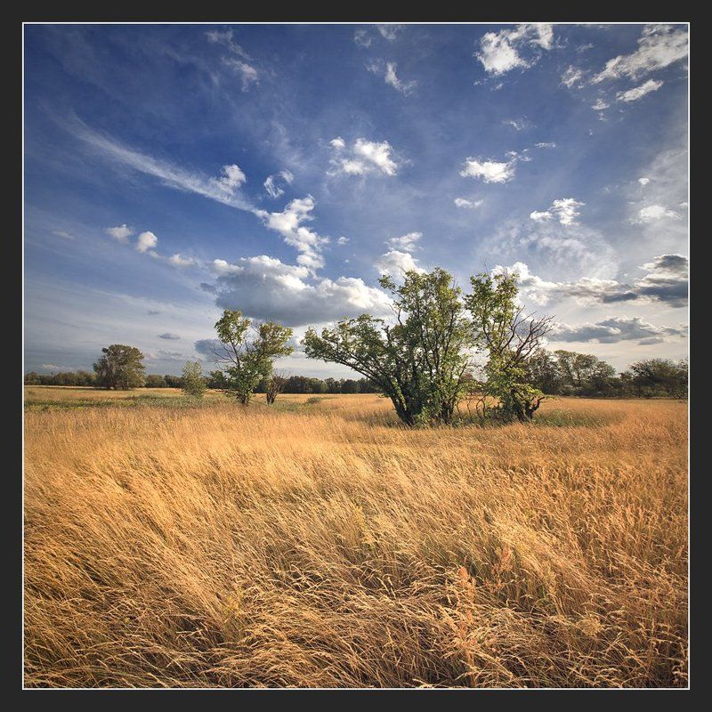 Черторой... Конец июля... Вечер...(цветной вариант)photo preview