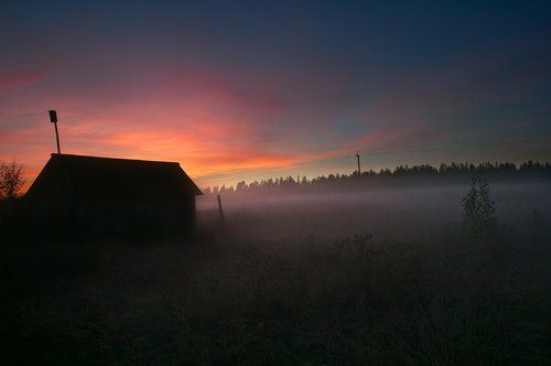 Скворцы улетели