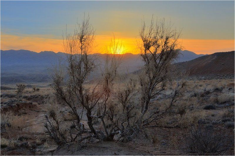 богуты, алматинская область, красные скалы, казахстан, рассвет, закат, ивы, саксаул, храм, развалины От рассвета до закатаphoto preview