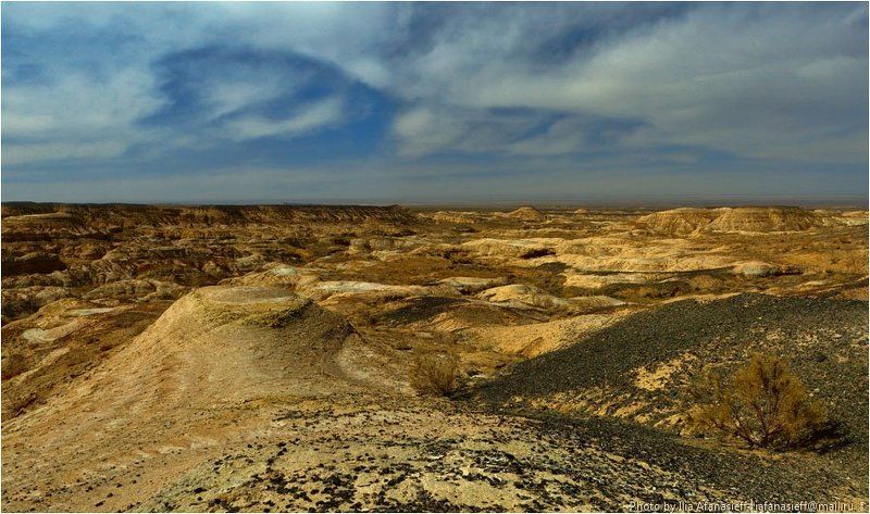 богуты, степь, красные горы, белые горы, казахстан Богуты в цветеphoto preview